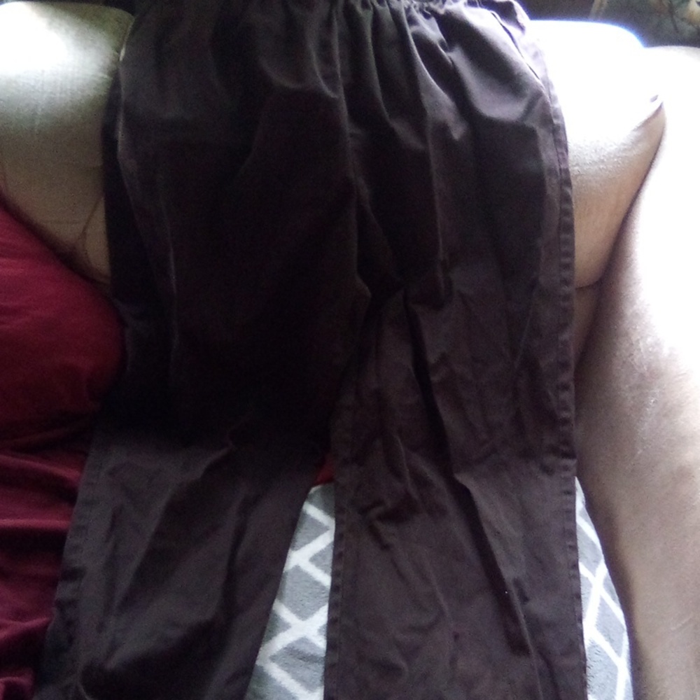 Alfred dunner pants
